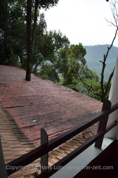 Blackberry Hills Hotel, Munnar_DSC5796_H600